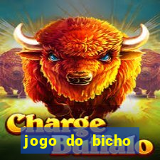 jogo do bicho crash bingo